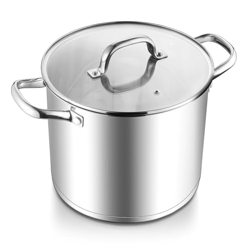 10 Quart Pot Stainless Steel Stock Cooking Pot with Glass Lid for Soup Canning Stewing Simmering (10 Quarts)