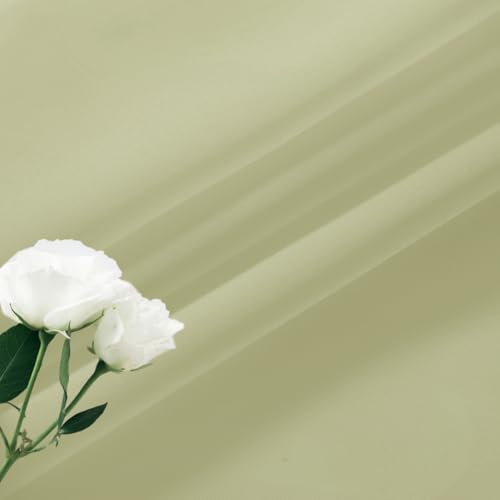 Basic Rod Pocket Sheer Voile Window Curtain Panels Sage Green 1 Pair 2 Panels 26 Width 30 Inch Long for Kitchen Bedroom Children Living Room Yard（Sage Green (Sage Green / 26"W x 30"L (Pack of 2))