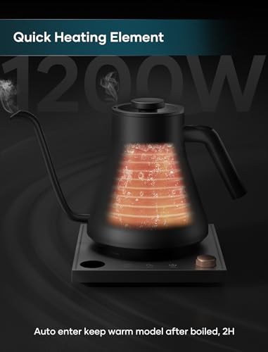 Gooseneck Electric Kettle (Black)