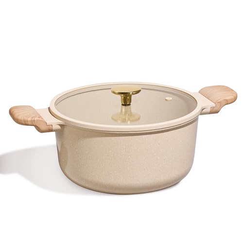 5 Qt Nonstick Stock Pot with Lid Soup Pot