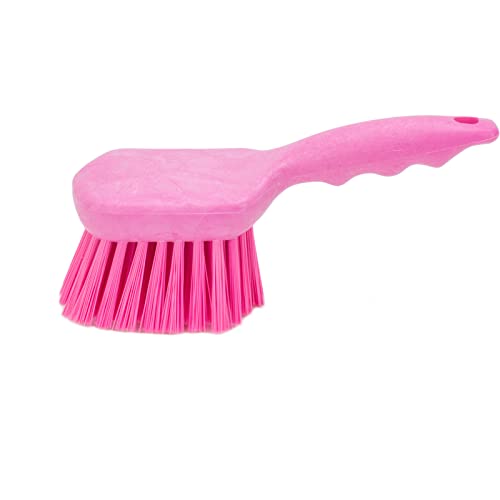 40541EC26 Plastic Scrub Brush (Pink)