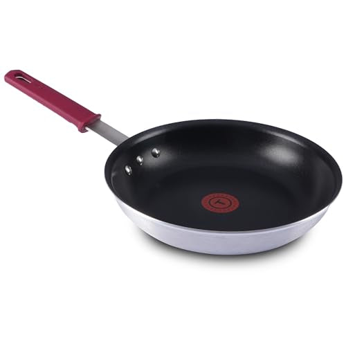 Professional VX3 Brushed Nonstick Fry Pan with Stainless Steel Handle 10 Inch (Professional Nonstick / 10 inch)