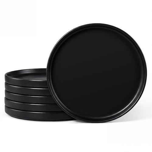 Dinner Plates Set of 6 (Matte Black / 10.5'')