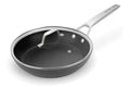 10 Inch Nonstick Frying pan with Lid (10-Inch)