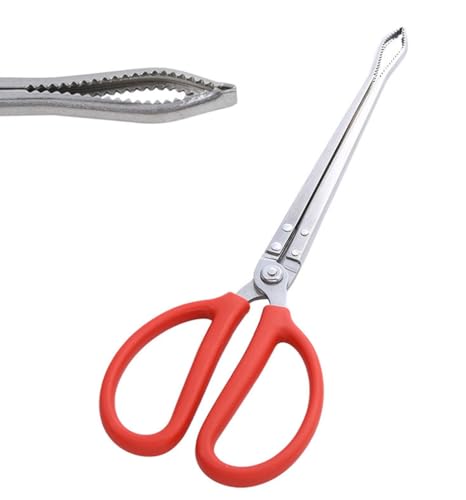 Stainless Steel Crabbing Tongs for Live Crabs Eels (Curved Tip-2pcs)