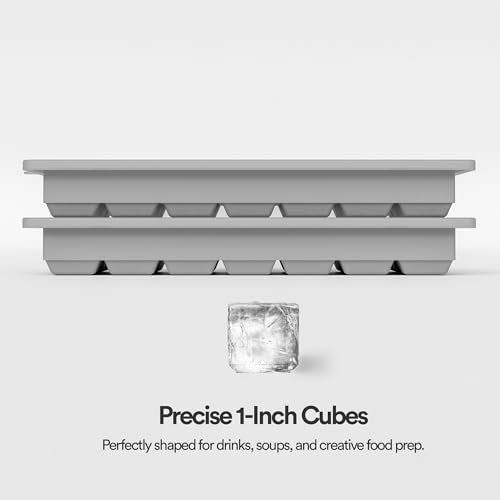 Ice Cube Tray with Lids (Gray)