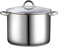 Basics 16 Quart Stainless Steel Stock Pot with Lid (16 Quarts / Silver)