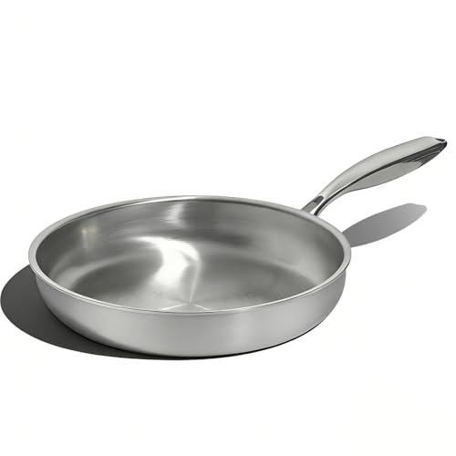 10 Inch Stainless Steel Frying Pan (10 Inch)