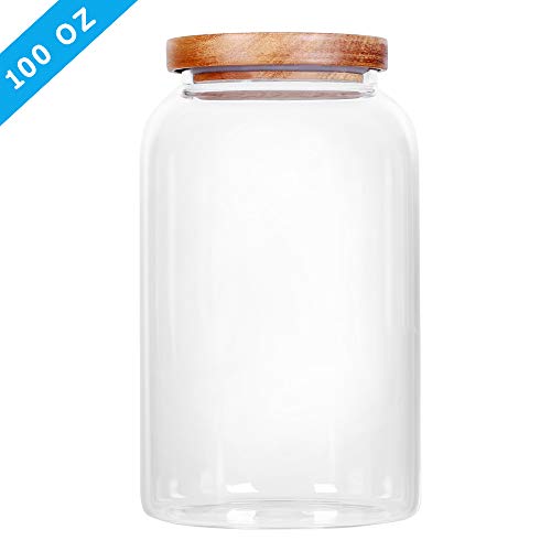 Modern Design Transparent Glass Food Storage Jars (3000ml)