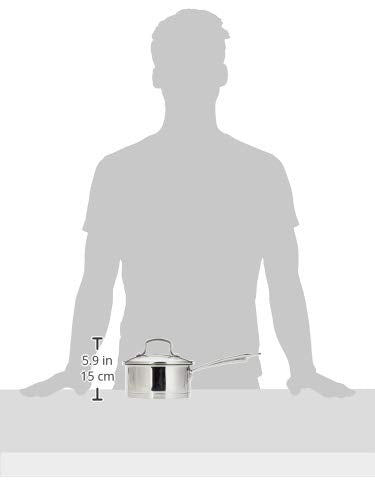 Professional Stainless Saucepan with Cover (Saucepan / 1.5 Quarts)