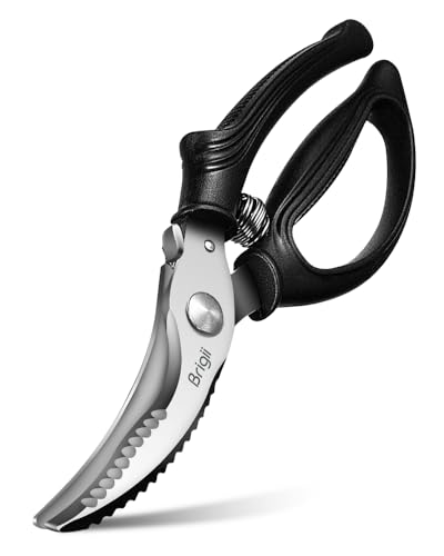Kitchen Shears