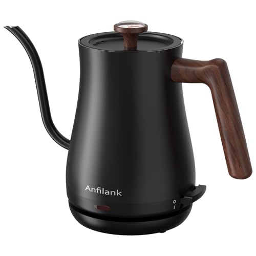 Gooseneck Electric Kettle with Thermometer