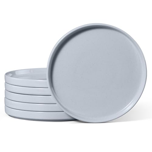 Dinner Plates Set of 6 (Haze Gray / 10.5'')