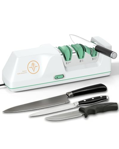 Electric Knife Sharpener with Replaceable Sharpening Head