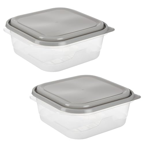 EveryWare Extra Large Square Food Storage Container (Extra Large 2 pack / Square, 2 Pack)