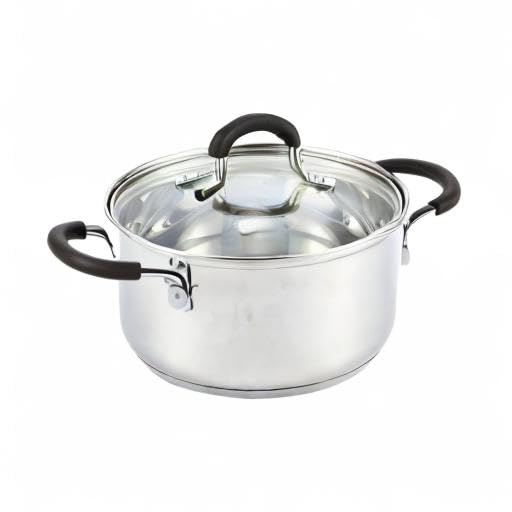 Professional 3 Quart Stainless Steel Stock Pot with Lid (3 Quarts)