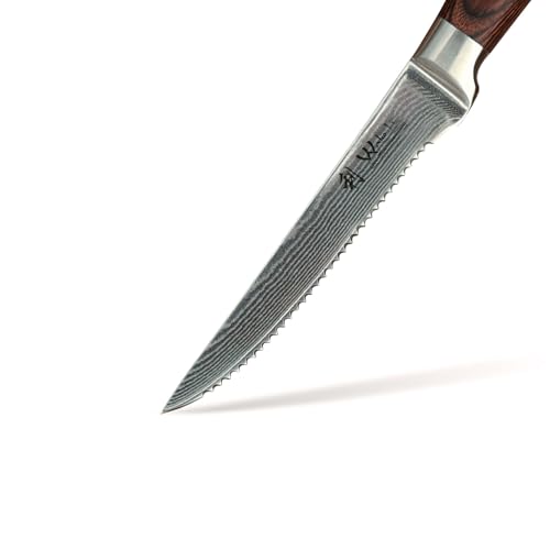 EDIB Damascus Steak Knife Set