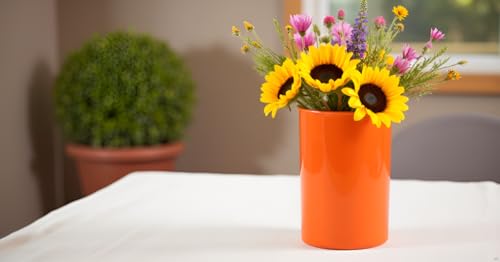 Calypso Basics by Reston Lloyd Plastic Utensil Holder (Utensil Holder / Orange)