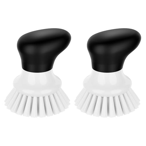 Dish Scrub Brush (White)