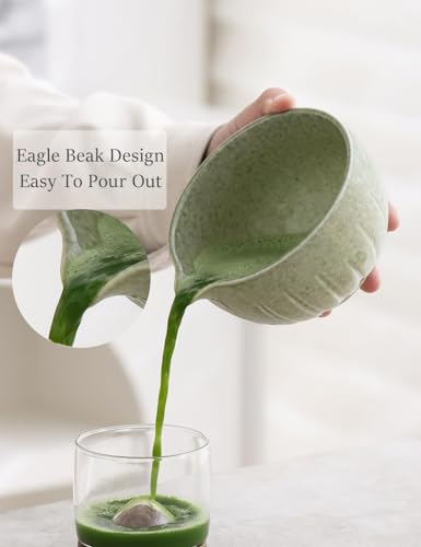 Matcha Set Match Bowl and Whisk (Mottled Green)