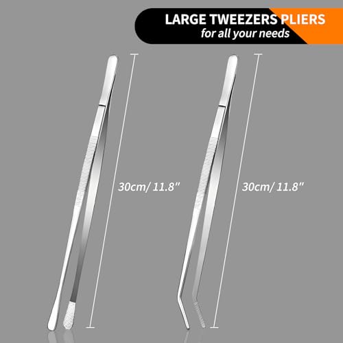 12" Stainless Steel Tongs (Silver)