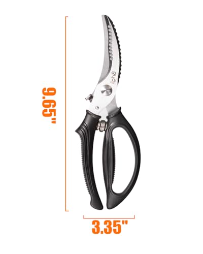Kitchen Shears