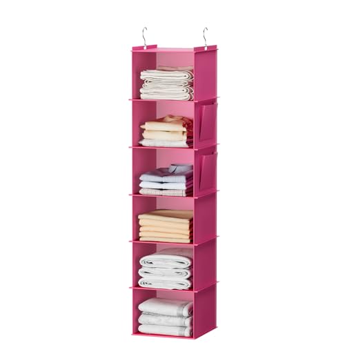 Hanging Closet Organizer and Storage (Pink)
