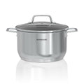 6.5 QT Stock Pot with Lid