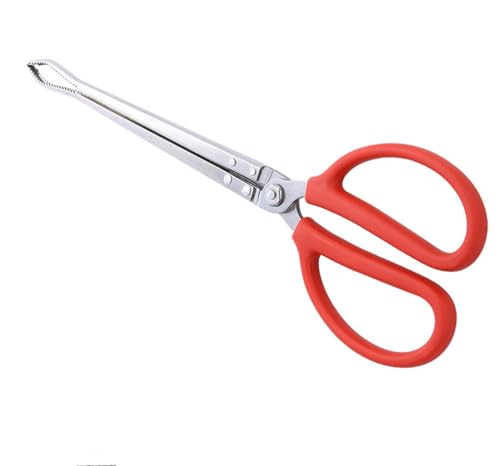 Stainless Steel Crabbing Tongs for Live Crabs Eels (Curved Tip)