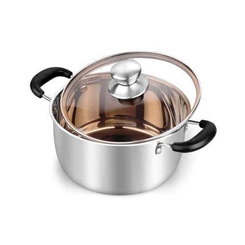 3 Quart Stock Pot (3 Quarts)