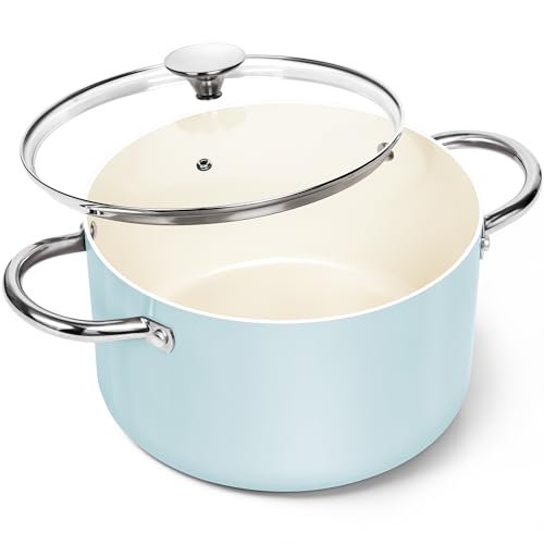 Stock Pot with Lid (Blue / 6 Quarts)
