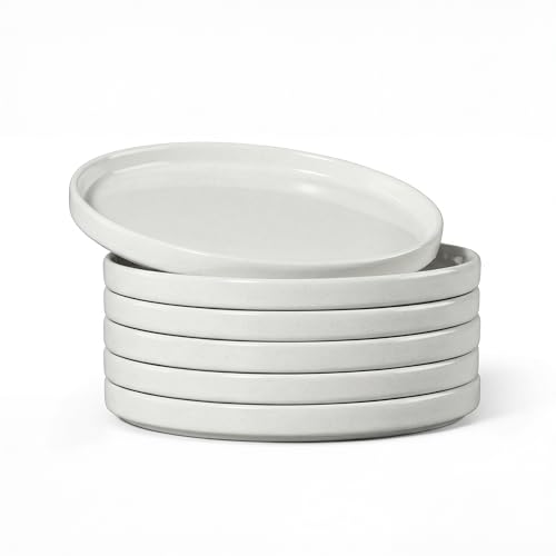 7.9 Inch Ceramic Dinner Plates (Speckled White / 7.9'')