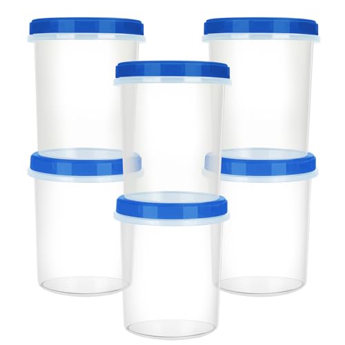 Heavy Duty Airtight Plastic Containers with Twist Top Lids (32oz-6 pack)
