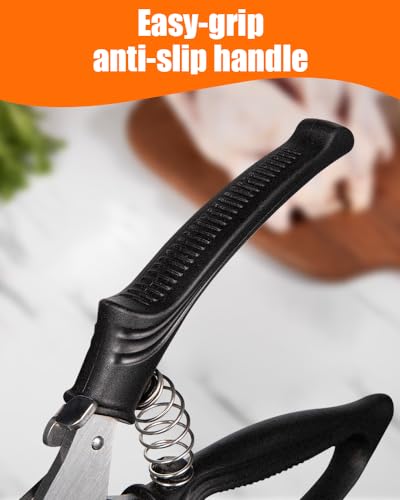 Kitchen Shears