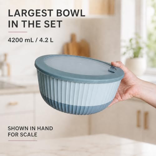 Plastic Mixing Bowls with Lids (Blue)