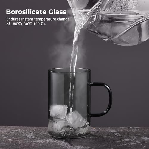 16.9oz Glass Tea Cup with Infuser and Lid 430ml (Black / 16.9 Ounces)