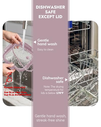 10 Pack Glass Food Storage Containers with Tempered Glass Lids