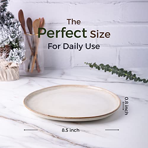 Ceramic Plates Set of 6 (Cappuccino / 8.5 Inch)