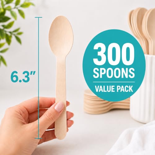 Disposable Wooden Spoons (Spoon Set)