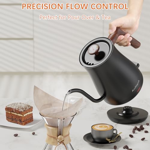 Gooseneck Electric Kettle with Thermometer