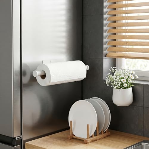 Paper Towel Holder Wall Mount (White)