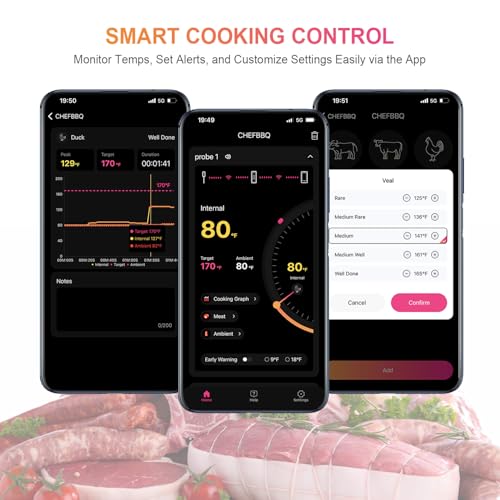 Wireless Smart Meat Thermometer with Dual (single probe)