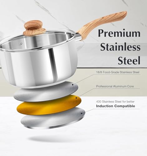 2 Quart Sauce Pan with Lid (2 Quarts)