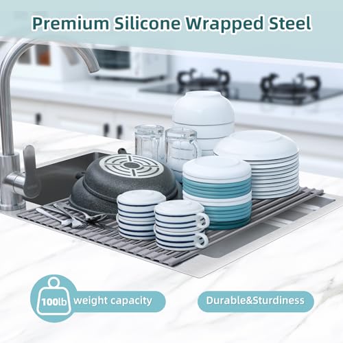 Sink Drying Rack (Gray / 20.5"W x 16.1"L)