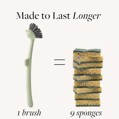 Magnetic Dish Brush & Scraper (Moss Green)
