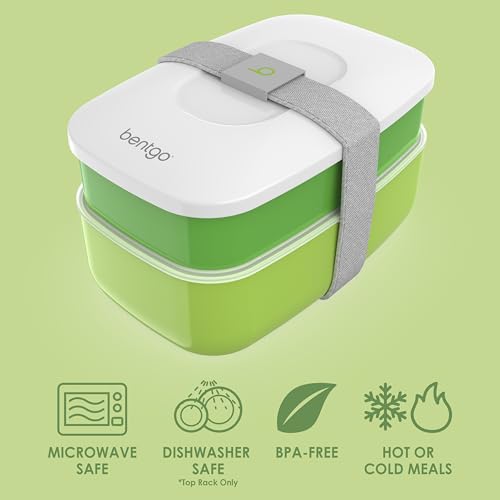 Classic Adult Bento Box (Green)