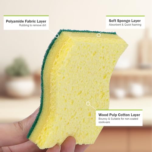 Sponges Kitchen (Light-green)