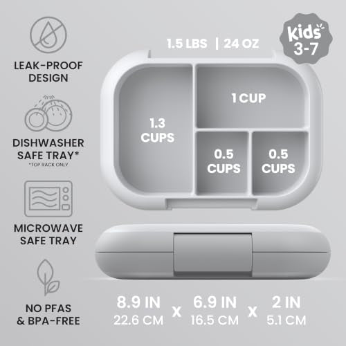 Chill Kids 4 Compartment Bento Box Leakproof Lunch Box (Gray)