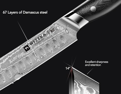 10.5 Inch Damascus Butcher Knife (Mist Shadow Damascus Silver)