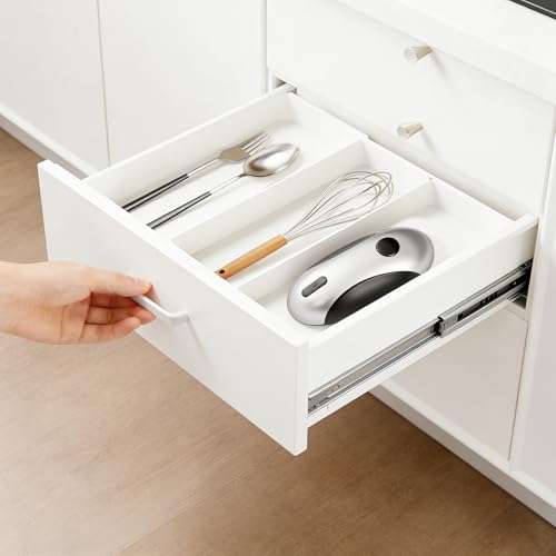 Electric Can Openers in 2026